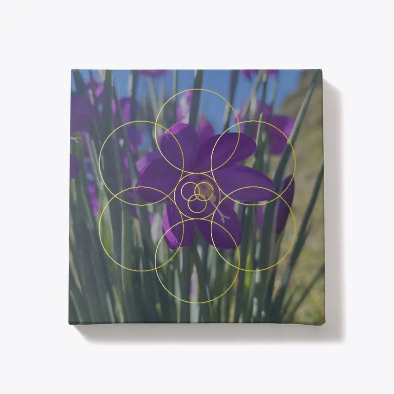 Satin Flower - Soul Star Chakra