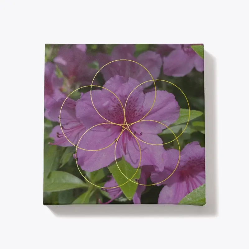 Rhododendron - Universal Chakra