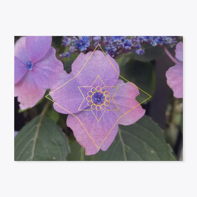 Hydrangea - Galactic Chakra