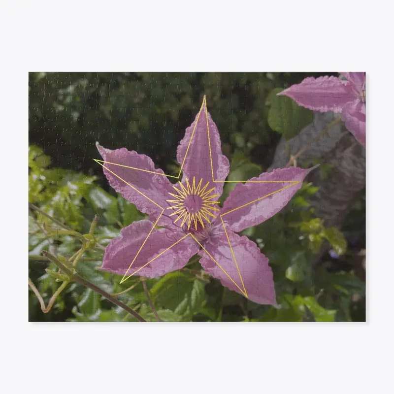 Clematis - Causal Chakra