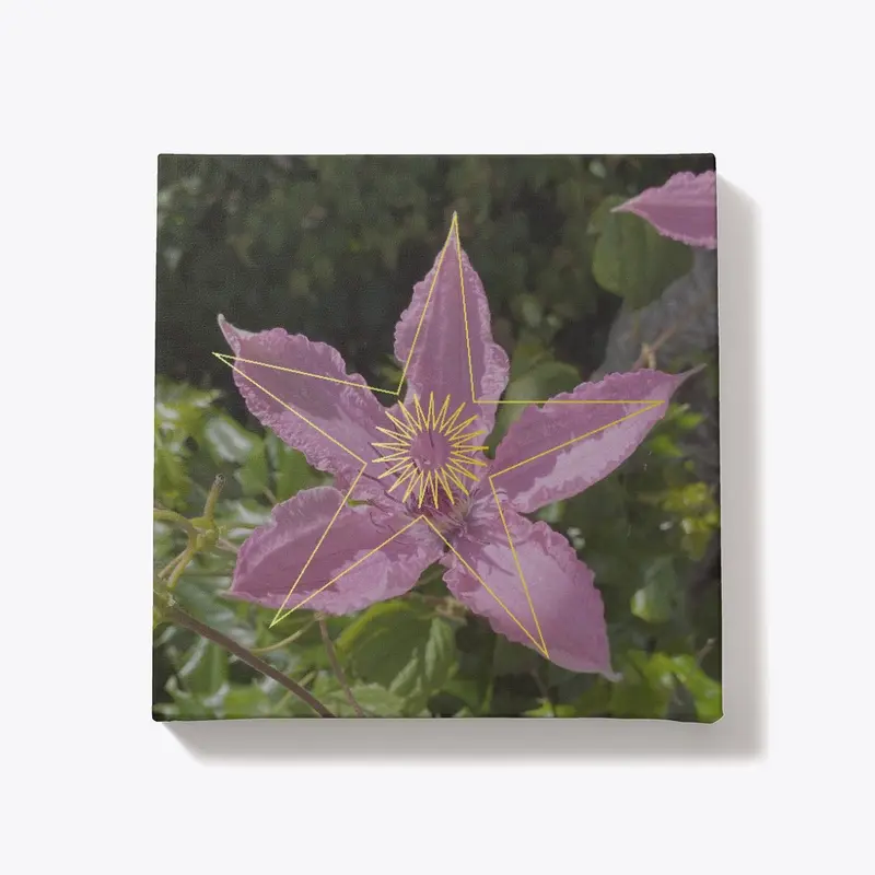 Clematis - Causal Chakra