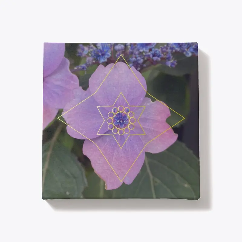 Hydrangea - Galactic Chakra